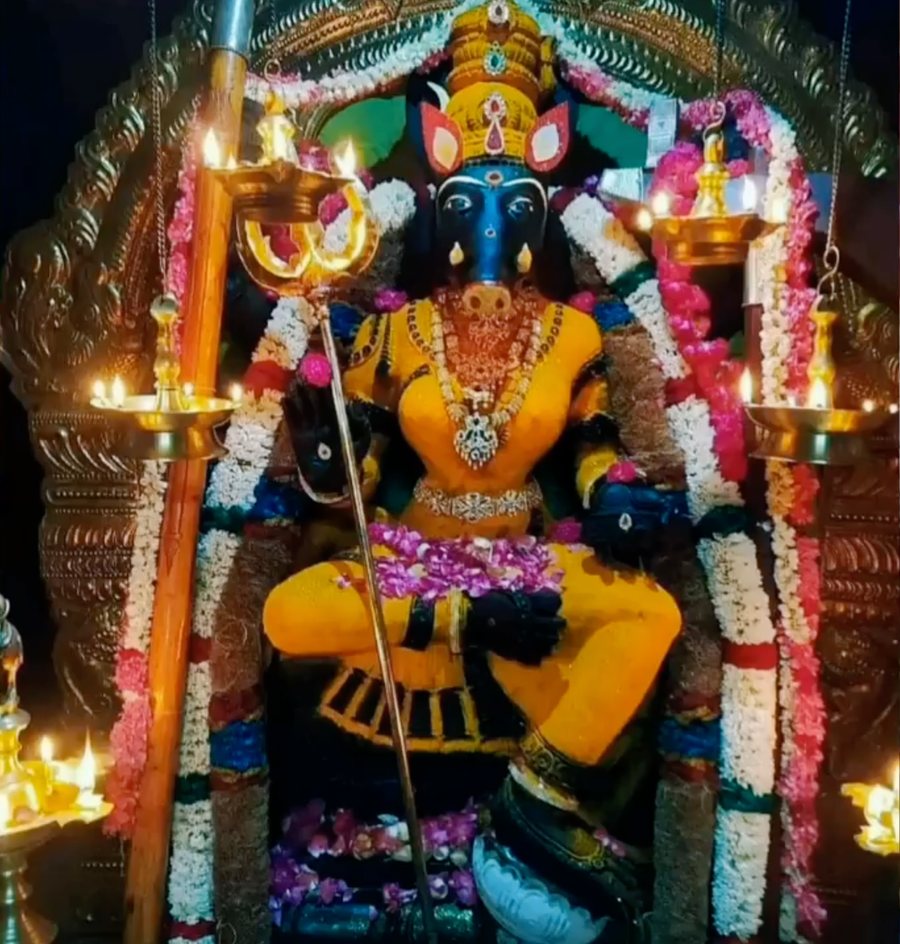 Darshan of The Divine Vigraha Of The Divine Mother Maa Varahi, enshrined and garlanded, the lamps of the night burning
